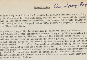 Introduction for the Commission on Integration's Subcommittee on Zoning report